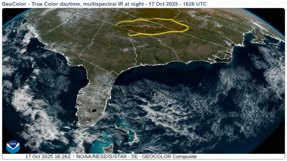How Satellites Track Autumn Leaf Color Changes From Space