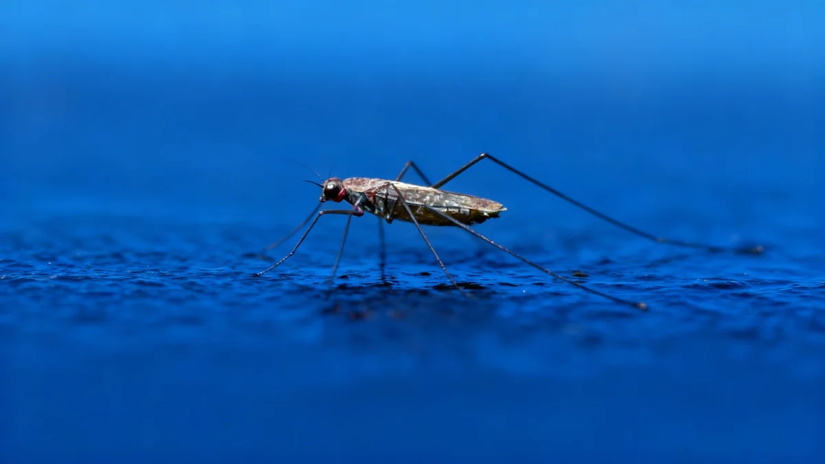 Planet Labs Awarded $12.8M NGA Contract for Maritime Surveillance