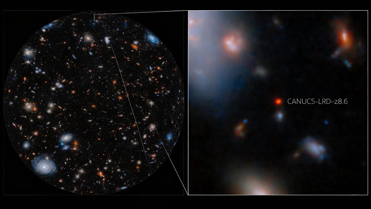 Webb Telescope Finds Massive Black Hole in Early Universe